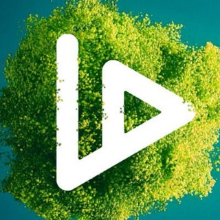 VIDT Datalink News