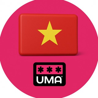 Вьетнам. Чат