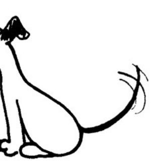 Виляем-не унываем🐱