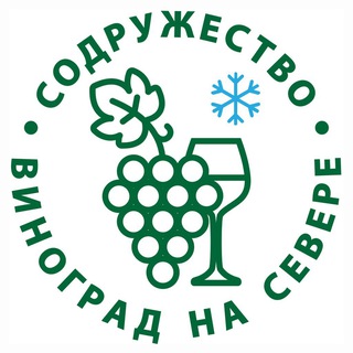 Виноград на Севере