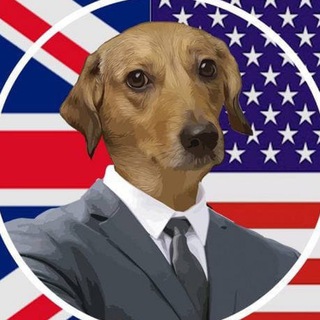 REAU Brazilian Doge