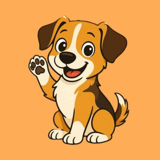 🧡 Потеряшки Владивосток и Приморье 🧡 Отдам даром 🧡 Кошки и Собаки | Находка Уссурийск Артем