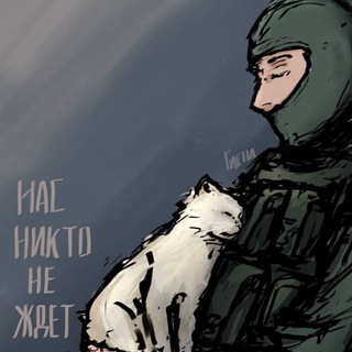 Война и новости | 24/7