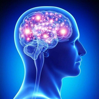 ВОПРОСЫ 🧠