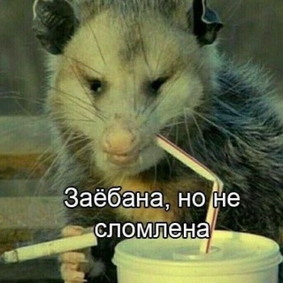 vrntsv’mood