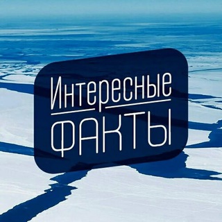 Все О Фактах