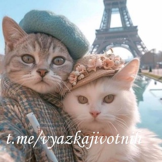 Вязка Продажа Питомцев