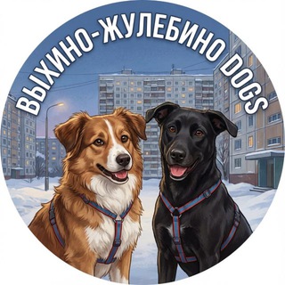 Выхино-Жулебино Dogs