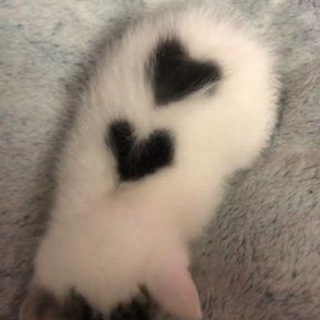 Взаимные подписки ❤️ Реакции ❤️ Ищу девушку парня