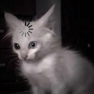 вᴀᴧффи.ᡣ𐭩