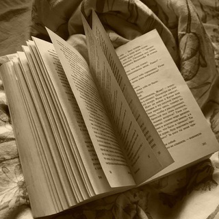 Еще страничку и спать | Литература📚