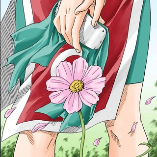Weeb Nation
