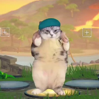 вейз1