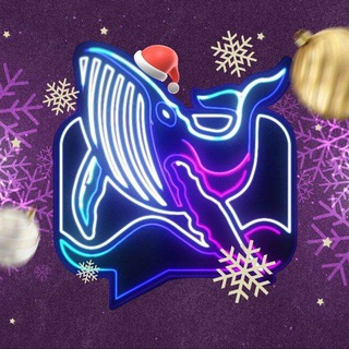 Whale Coin Talk