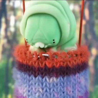 🧶Секта Шерстяных носков
