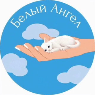 #Белый_Ангел