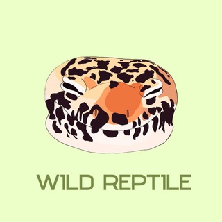 ᴡɪʟᴅ ʀᴇᴘᴛɪʟᴇ