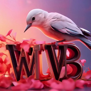 Wildberries инфографика Вайлдберриз Дизайн карточек #marketplace #ozon #инфографика@wildberriesdesign