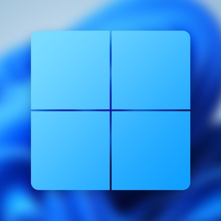 Windows 11