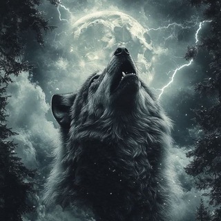 🌒 Wolf Pack 🌖
