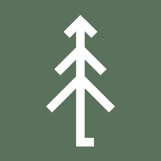 СосныЕлиШишки 🌲