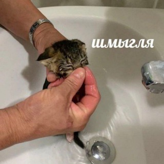 шмыгля что-ли