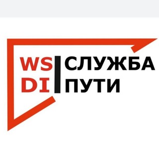 WSDI_P