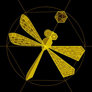 X117 | DIY Geometry Lab