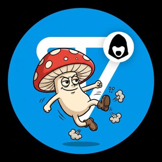 Хейтер Ton