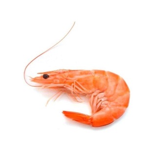 xaryka_777🦐30