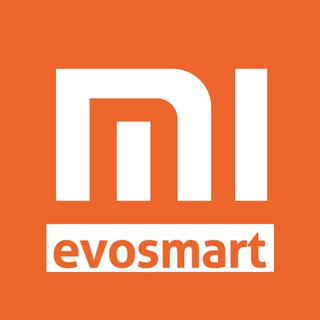 Xiaomi Group By Evosmart.it