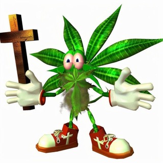 xstlinii