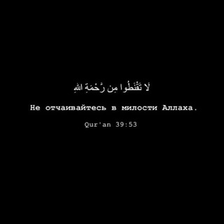 الظل