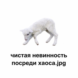 не vesta