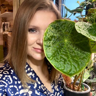 Yanni Plants