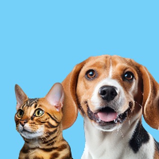 YAPPY PET