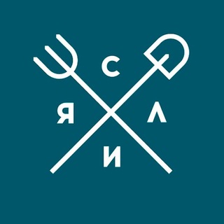 Ясли Бар