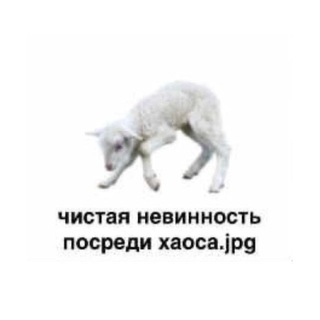 старликс