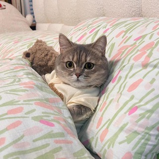 ъеъх