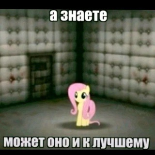 Y-Side
