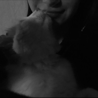 yulechka🎀