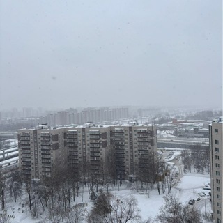 Жизнь NEXT