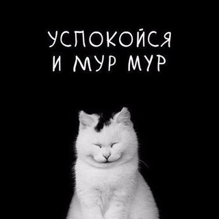 ЗАБАВНЫЕ Мордастики 🐾 Смешные видео/картинки 🔥