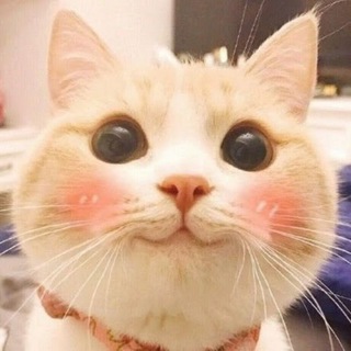 Замурчательно 😼