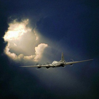 Свобода и бизнес | На взлет 🛫
