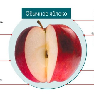 Здоровая еда