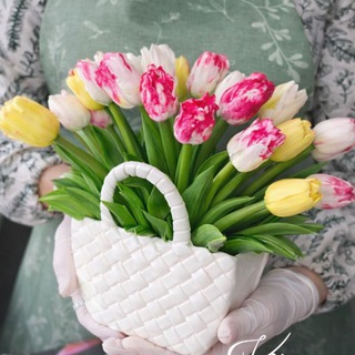 Зефир в молдах