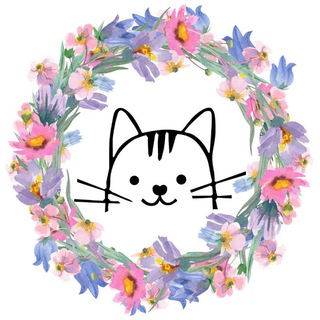 zel_priut_cats