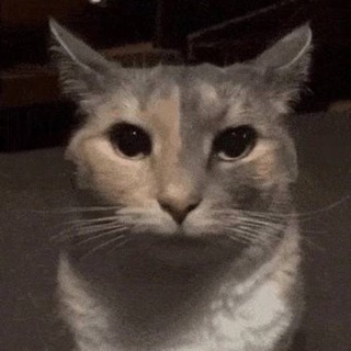 Плохие Мемы