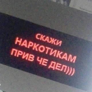 My Life My Rules